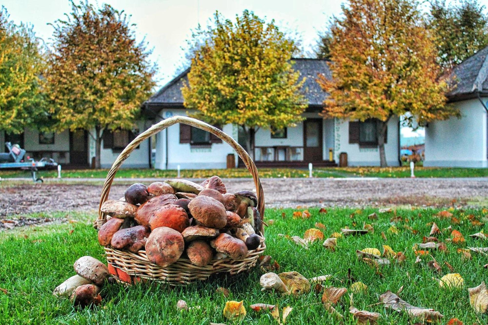 База Берег Svetlogorskoye Экстерьер фото